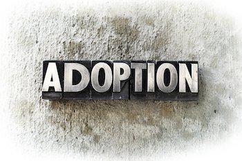 adopt